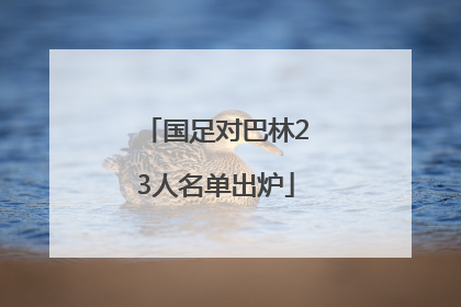 国足对巴林23人名单出炉