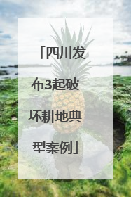 四川发布3起破坏耕地典型案例