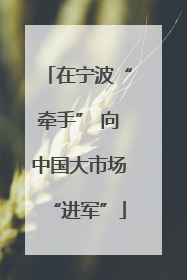 在宁波“牵手” 向中国大市场“进军”