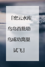密云水库鸟岛首批幼鸟成功离巢试飞