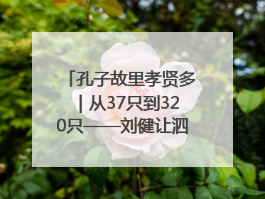 孔子故里孝贤多｜从37只到320只——刘健让泗水裘皮羊重生