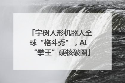宇树人形机器人全球“格斗秀”，AI“拳王”硬核破圈
