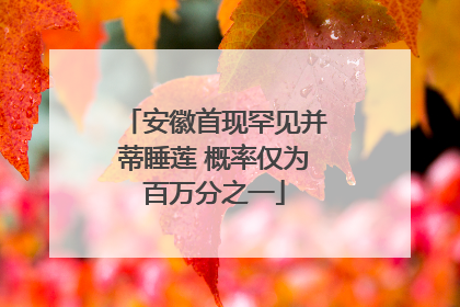 安徽首现罕见并蒂睡莲 概率仅为百万分之一