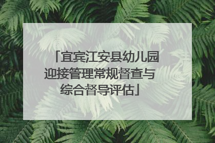宜宾江安县幼儿园迎接管理常规督查与综合督导评估