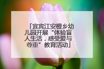 宜宾江安橙乡幼儿园开展“体验盲人生活，感受爱与尊重”教育活动