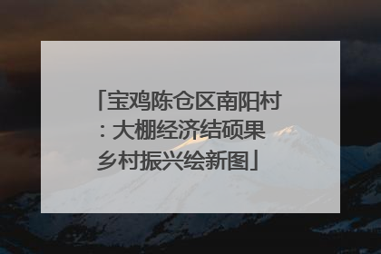 宝鸡陈仓区南阳村：大棚经济结硕果 乡村振兴绘新图