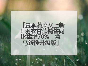 夏季蔬菜又上新！羽衣甘蓝销售同比猛增70%，盒马新推升级版