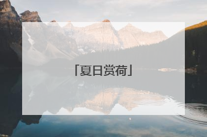 夏日赏荷