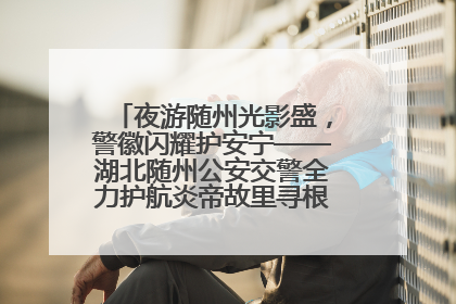 夜游随州光影盛，警徽闪耀护安宁——湖北随州公安交警全力护航炎帝故里寻根节夜游活动侧记