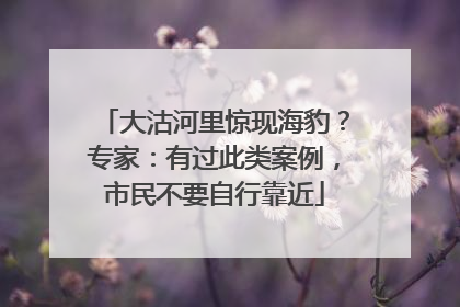 大沽河里惊现海豹？专家：有过此类案例，市民不要自行靠近