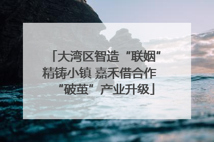 大湾区智造“联姻”精铸小镇 嘉禾借合作“破茧”产业升级