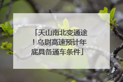 天山南北变通途！乌尉高速预计年底具备通车条件