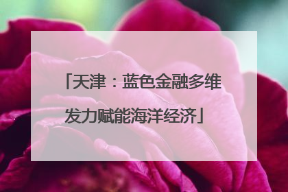 天津：蓝色金融多维发力赋能海洋经济