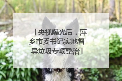 央视曝光后，萍乡市委书记实地督导垃圾专项整治