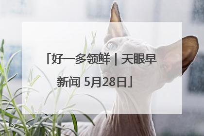 好一多领鲜｜天眼早新闻 5月28日