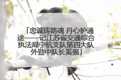 忠诚铸路魂 丹心护通途——记江苏省交通综合执法局宁杭支队第四大队外勤中队长奚强