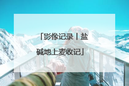影像记录丨盐碱地上麦收记
