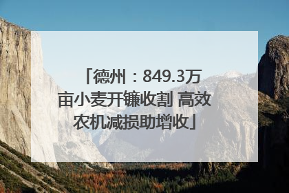 德州：849.3万亩小麦开镰收割 高效农机减损助增收