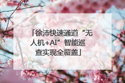 徐沛快速通道“无人机+AI”智能巡查实现全覆盖