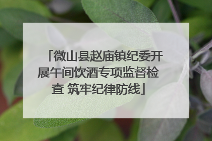 微山县赵庙镇纪委开展午间饮酒专项监督检查 筑牢纪律防线