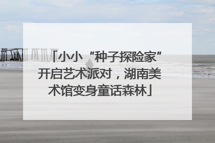 小小“种子探险家”开启艺术派对，湖南美术馆变身童话森林
