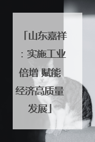 山东嘉祥：实施工业倍增 赋能经济高质量发展