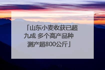 山东小麦收获已超九成 多个高产品种测产超800公斤