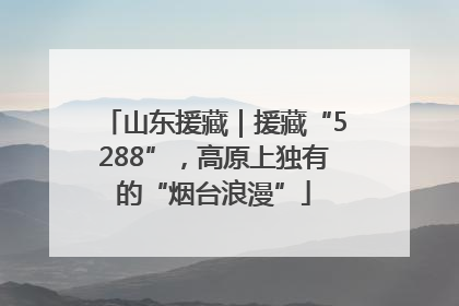 山东援藏｜援藏“5288”，高原上独有的“烟台浪漫”