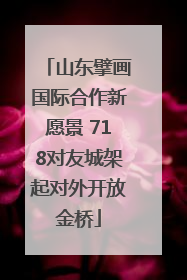 山东擘画国际合作新愿景 718对友城架起对外开放金桥
