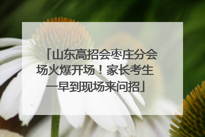 山东高招会枣庄分会场火爆开场！家长考生一早到现场来问招