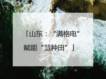 山东：“满格电”赋能“慧种田”
