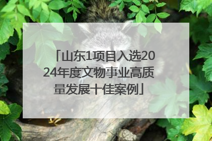 山东1项目入选2024年度文物事业高质量发展十佳案例