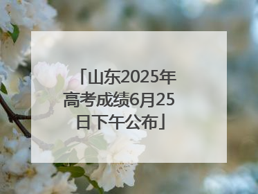 山东2025年高考成绩6月25日下午公布