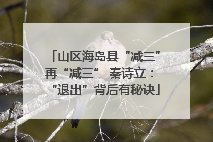 山区海岛县“减三”再“减三” 秦诗立：“退出”背后有秘诀