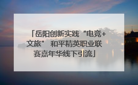 岳阳创新实践“电竞+文旅” 和平精英职业联赛嘉年华线下引流