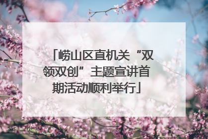 崂山区直机关“双领双创”主题宣讲首期活动顺利举行