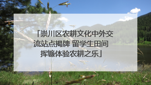 崇川区农耕文化中外交流站点揭牌 留学生田间挥镰体验农耕之乐