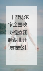 巴特尔率全国政协视察团赴湖北开展视察