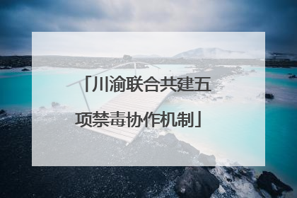 川渝联合共建五项禁毒协作机制