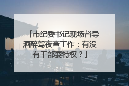 市纪委书记现场督导酒醉驾夜查工作：有没有干部耍特权？