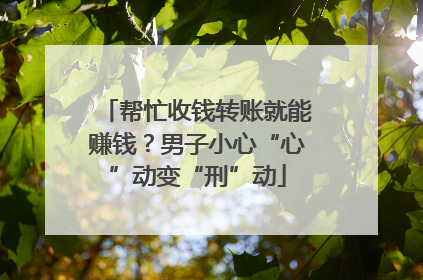帮忙收钱转账就能赚钱？男子小心“心”动变“刑”动