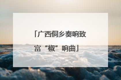 广西侗乡奏响致富“椒”响曲