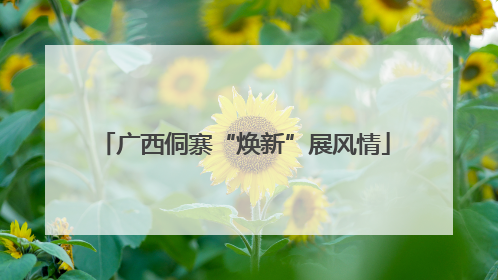 广西侗寨“焕新”展风情