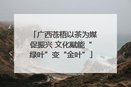 广西苍梧以茶为媒促振兴 文化赋能“绿叶”变“金叶”