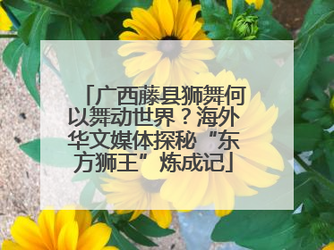 广西藤县狮舞何以舞动世界？海外华文媒体探秘“东方狮王”炼成记