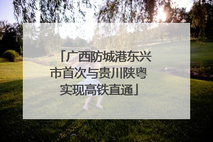 广西防城港东兴市首次与贵川陕粤实现高铁直通