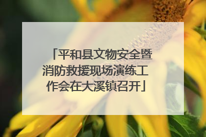 平和县文物安全暨消防救援现场演练工作会在大溪镇召开