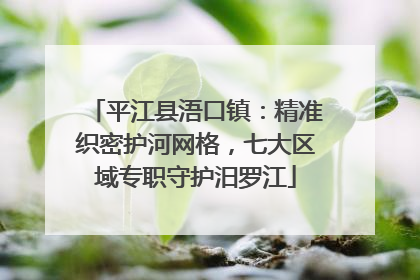 平江县浯口镇：精准织密护河网格，七大区域专职守护汨罗江
