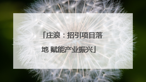 庄浪：招引项目落地 赋能产业振兴
