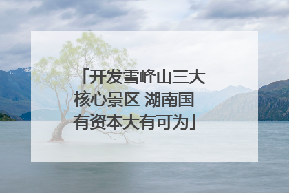 开发雪峰山三大核心景区 湖南国有资本大有可为